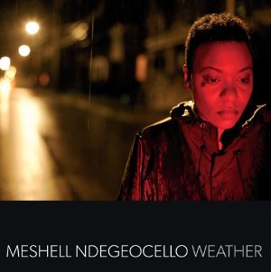 Meshell Ndegeocello – Weather (Cover)