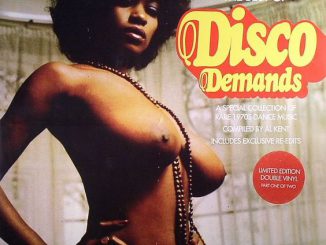Various Artists – The Best Of Disco Demands (A Collection Of Rare 1970s Dance Music) (Foto: Cover)